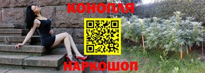 мяу мяу мука Новокубанск