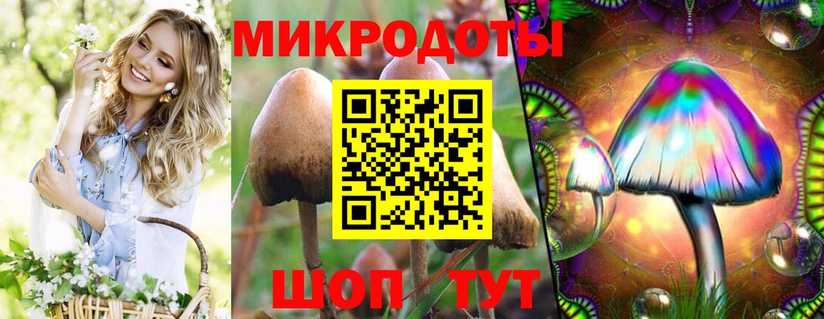 Галлюциногенные грибы мицелий Тихорецк